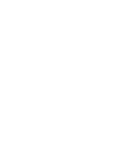 logo-wt