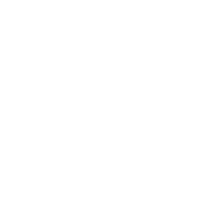 logo-wt